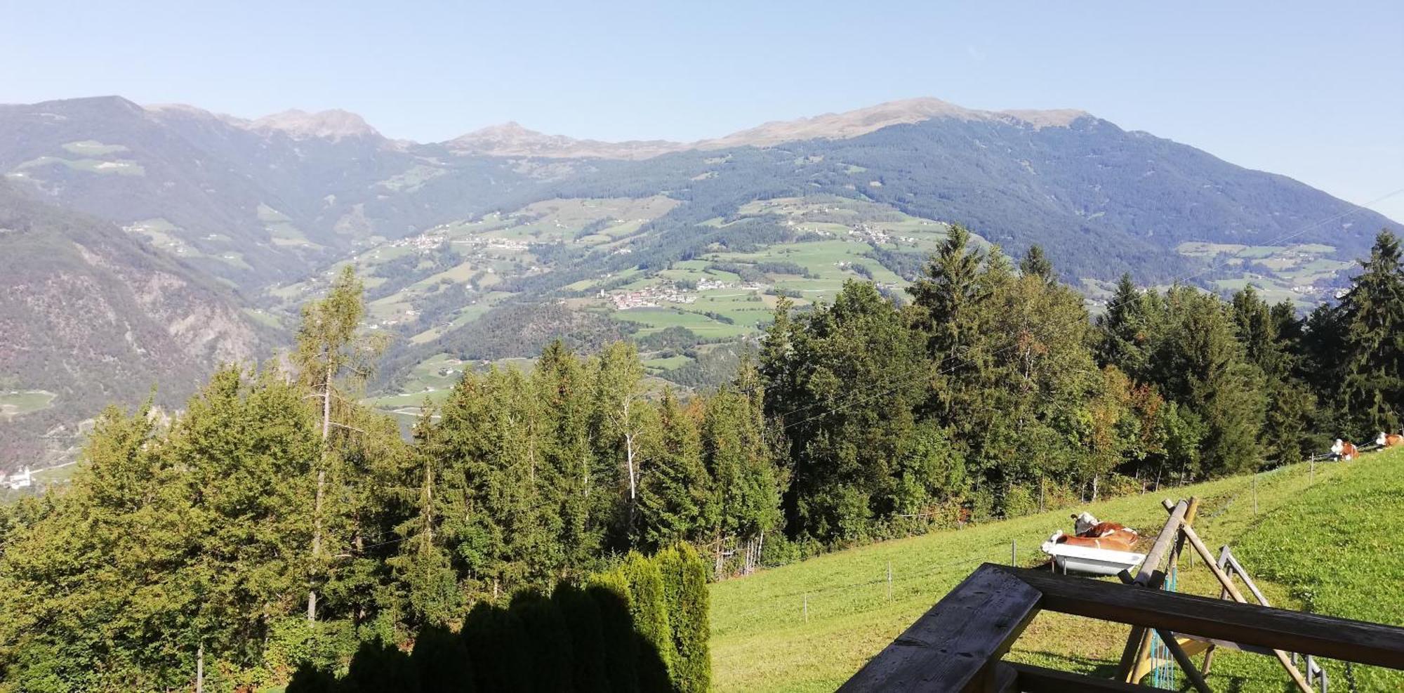 Agriturismo Ferienhof Gschloier (Adults Only) 莱恩 外观 照片